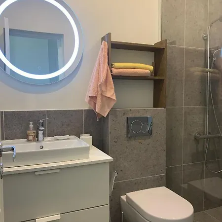 公寓 Zalio Kalno Apartamentai 考纳斯