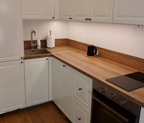 Zalio Kalno Apartamentai *