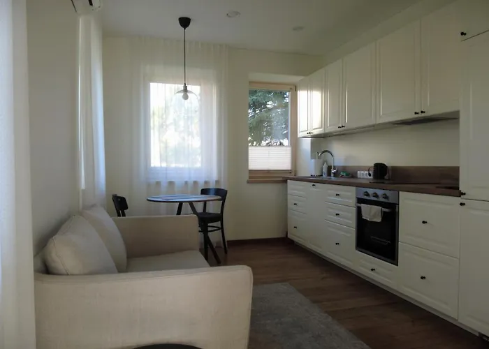 Daire Zalio Kalno Apartamentai